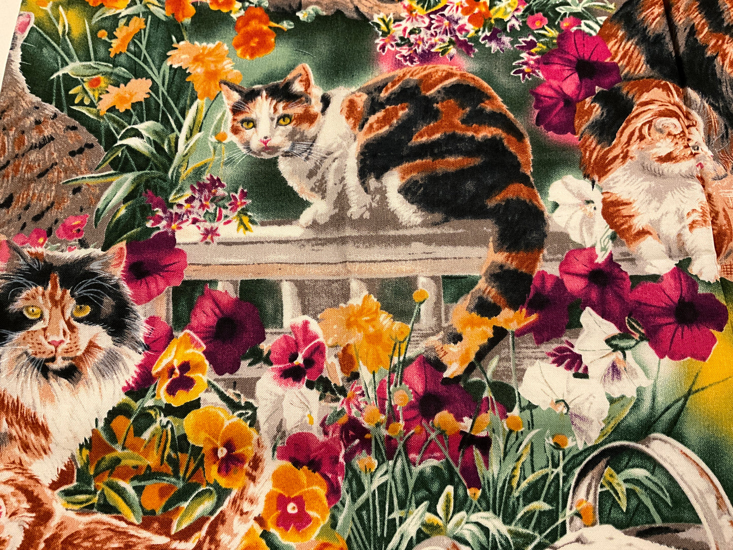Cat fabric