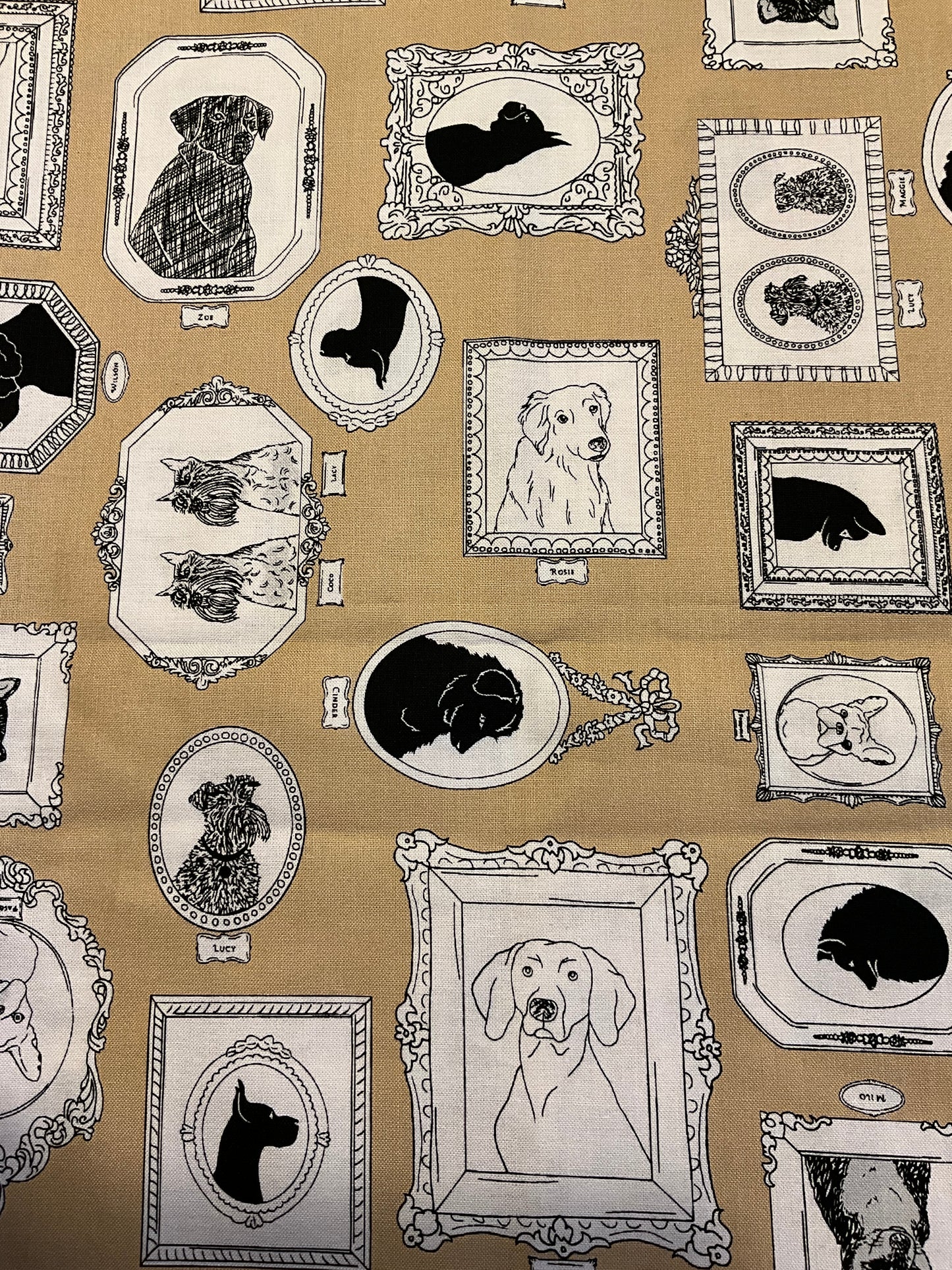 Dog fabric