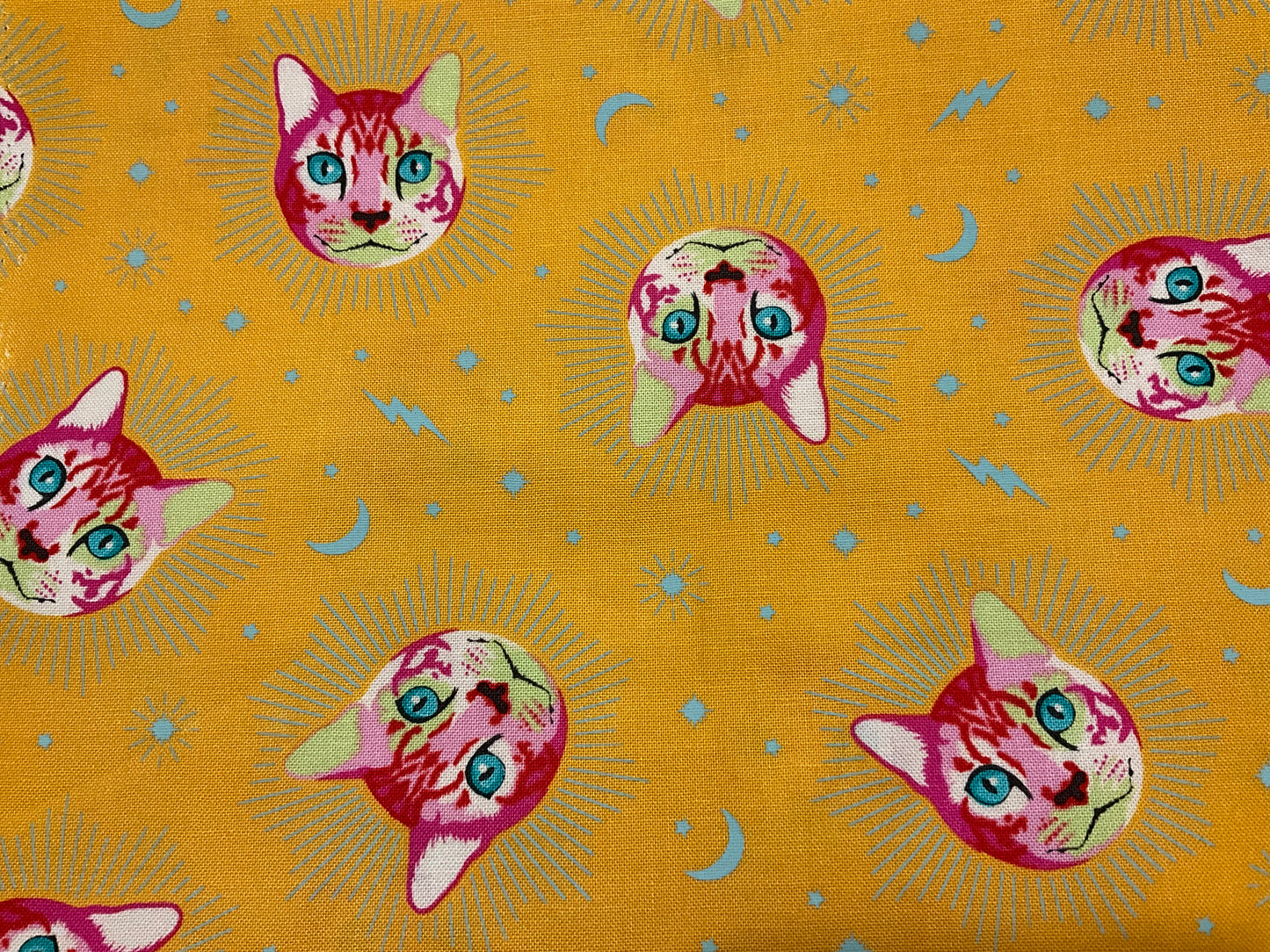 Tula Pink