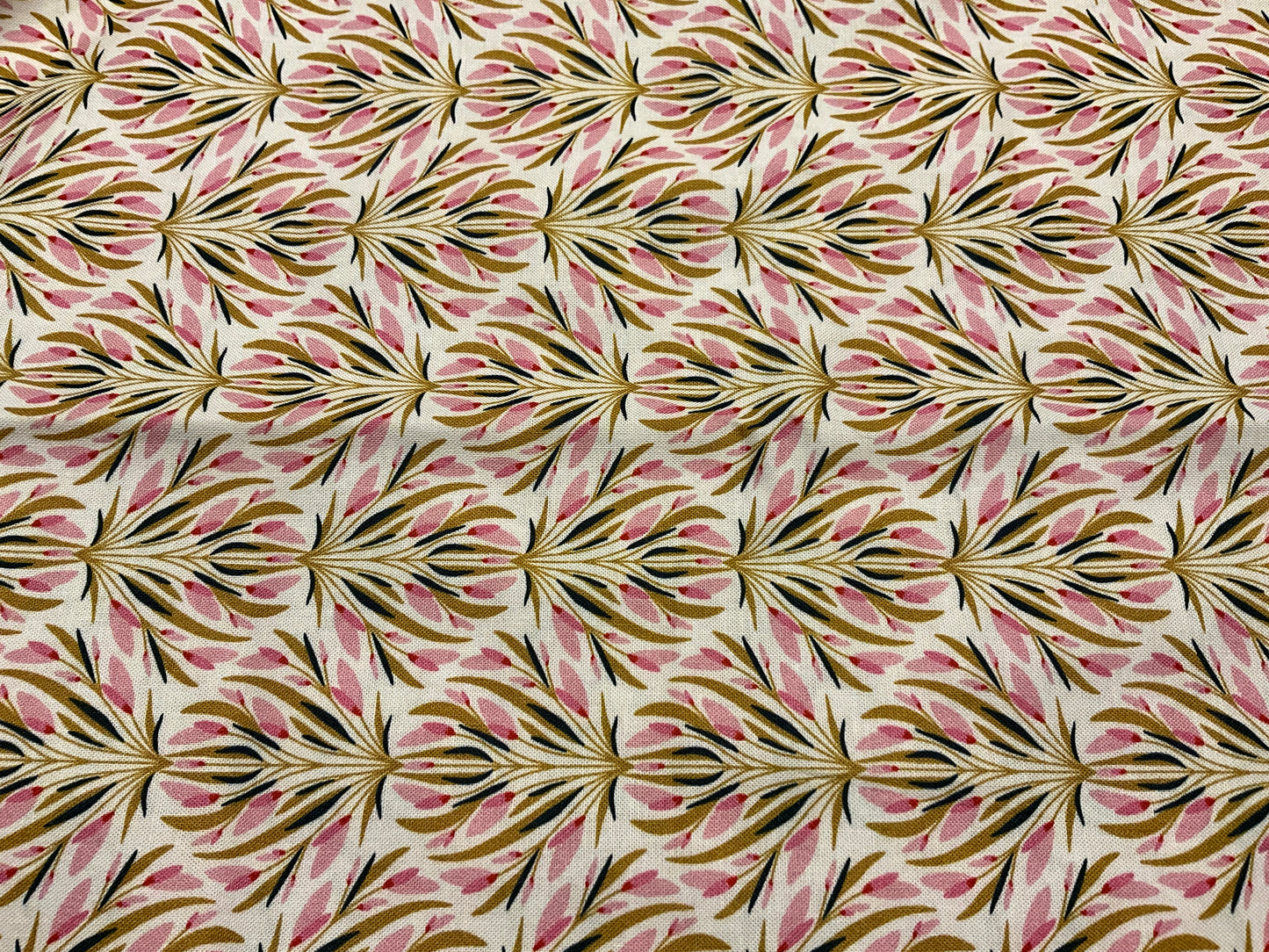 Organic cotton fabric