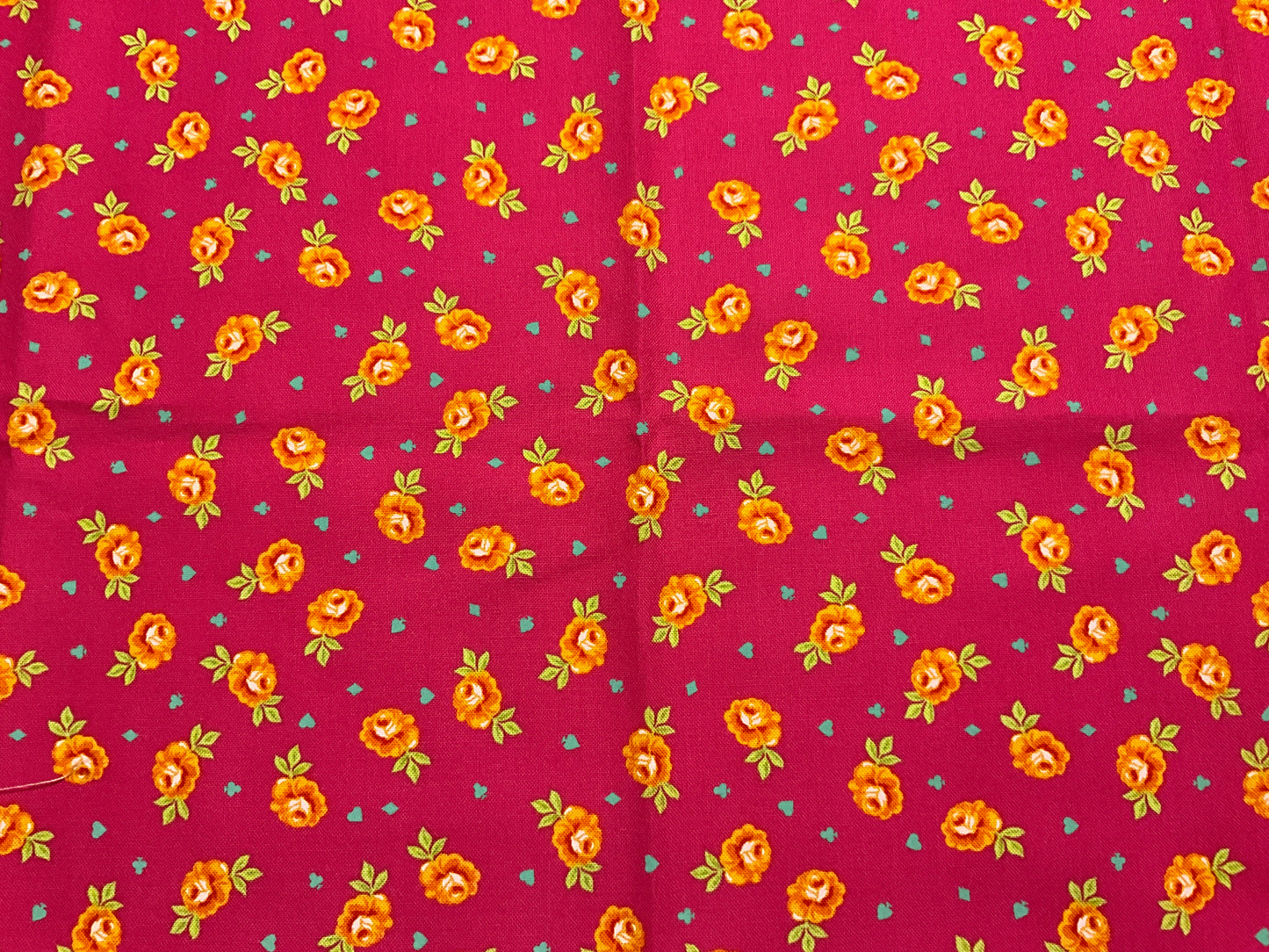 Tula Pink